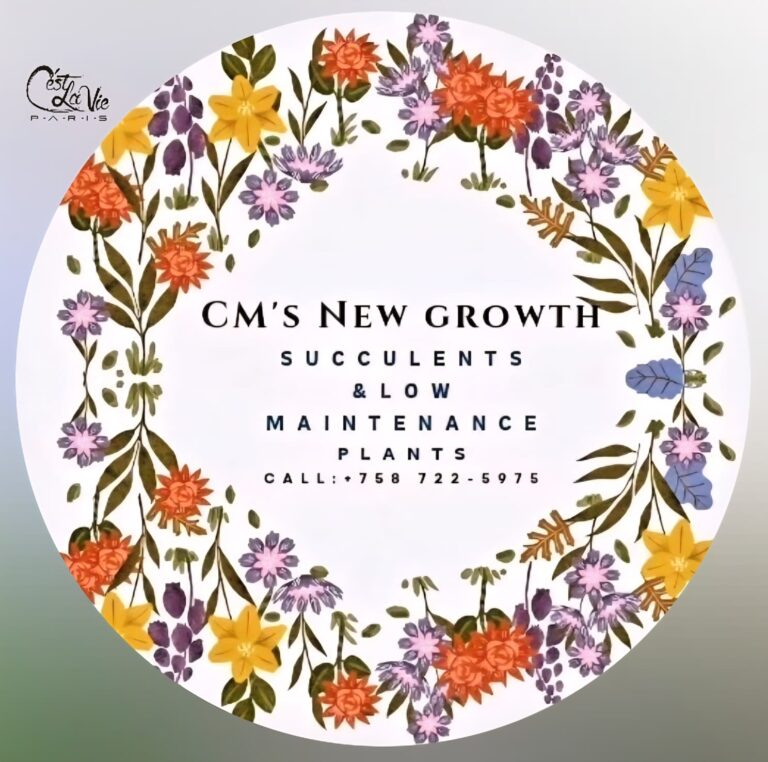 company cms new growth 768x762